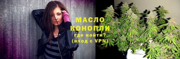 mix Богородицк